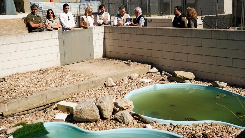 El consejero Carlos Novillo visita el Centro de Recuperación de Animales Silvestres El consejero recorriendo el centro