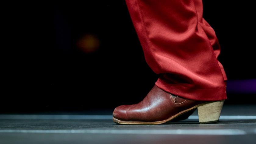 Flamenco Zapatos marrones flamenco