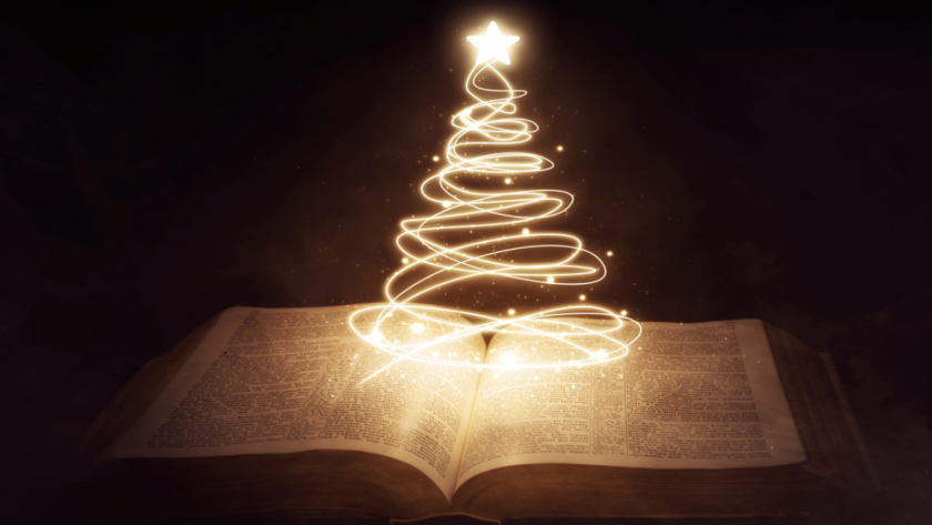 Bibliotecas en Navidad