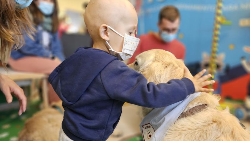 Niño acaricia al perro durante la terapia