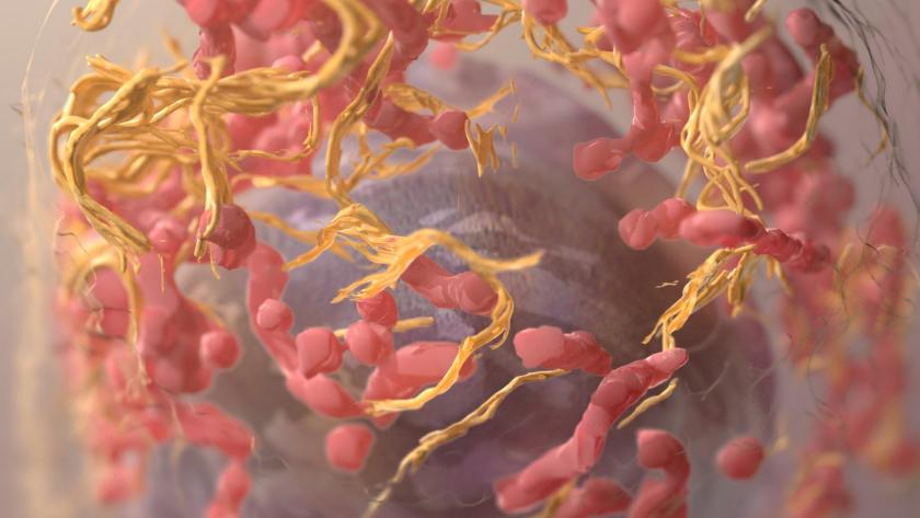 Células cancerígenas