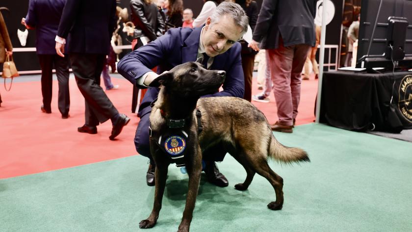 La Comunidad de Madrid, reconocida con la etiqueta de calidad  por su excelente gestión de la Reserva Nacional de Caza de Sonsaz