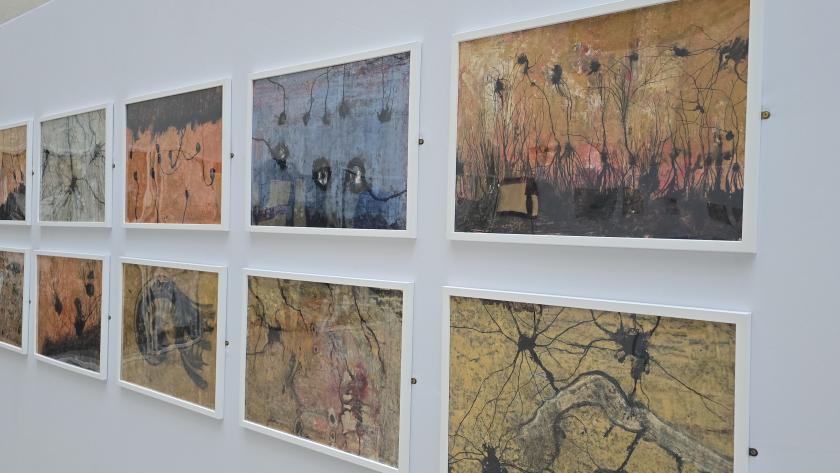 Cuadros de la exposición