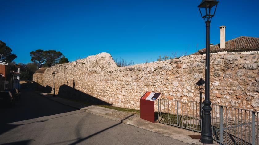 Castillo de Torremocha 2