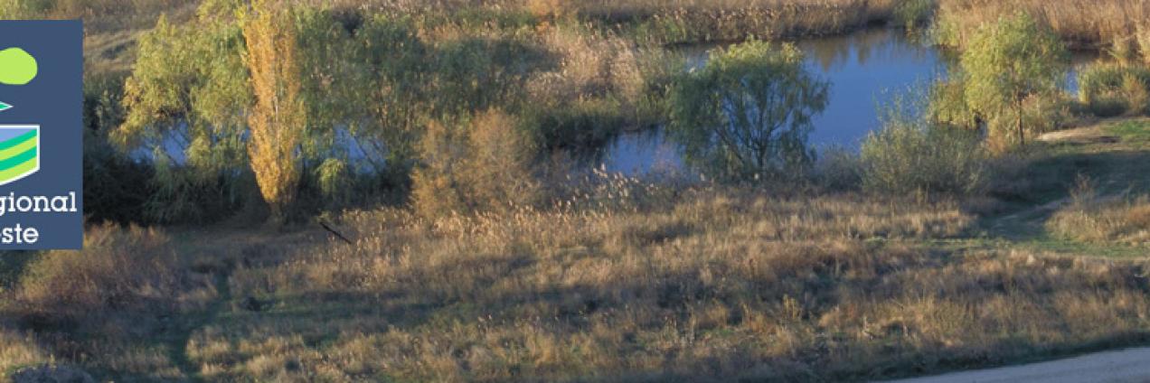 Paseo por las lagunas y la presa del río Henares