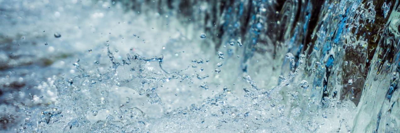 Agua