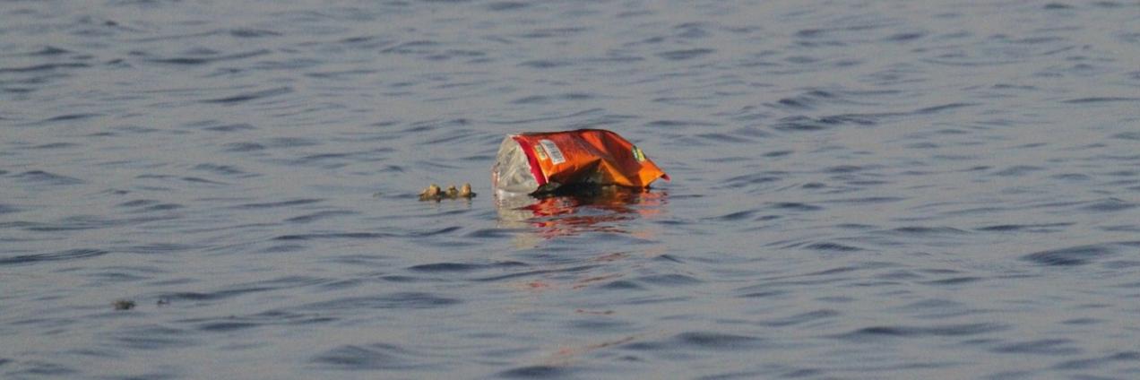 Agua con basura