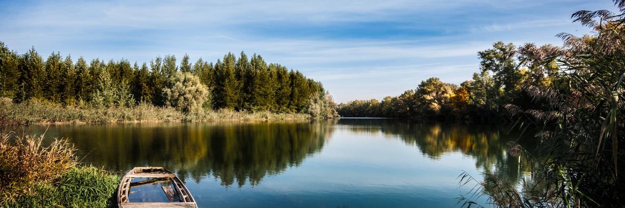Río con barca abandonada