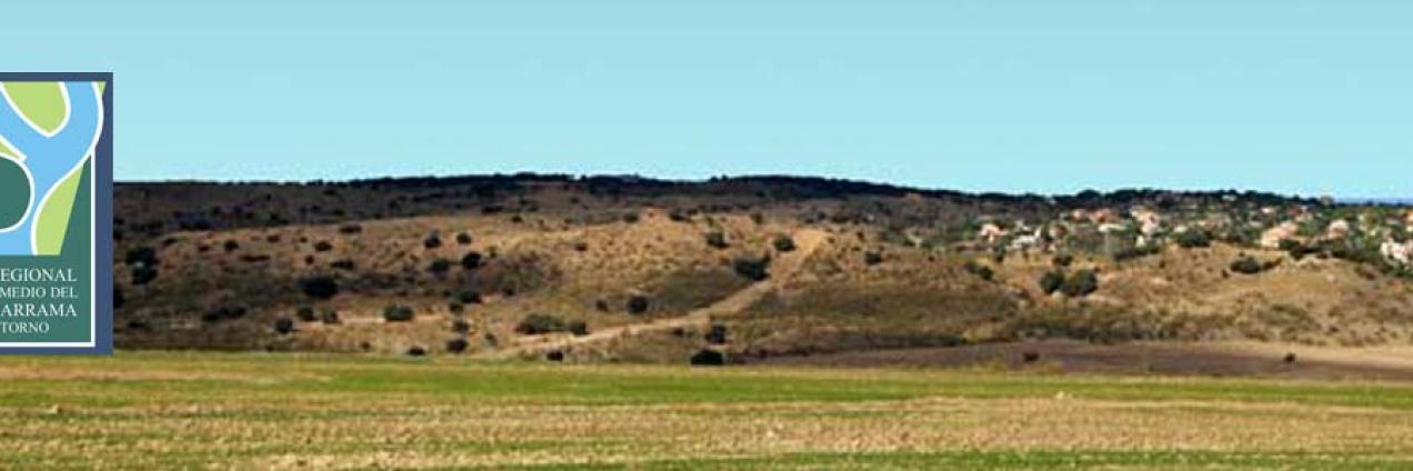 Paisaje de la senda de Valdemorillo a Villanueva de la Cañada
