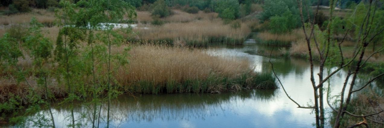 Vista río en Parque Regional del Sureste