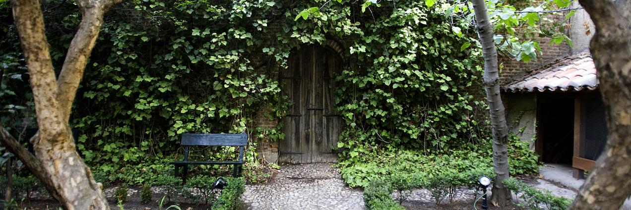 Puerta de madera, camino de piedra, árboles y hiedra