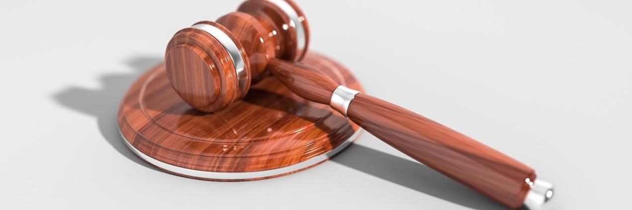 Abogacía Violencia de Género