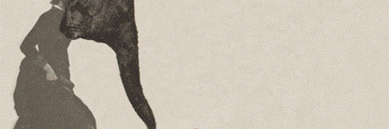 taller rotoscopias