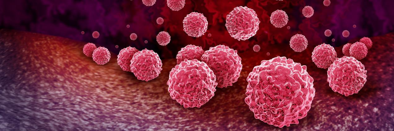 foto con bacterias de clamidia