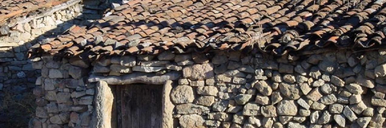 Imagen decorativa