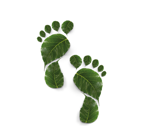 Imagen de dos huellas de persona con motivos vegetales