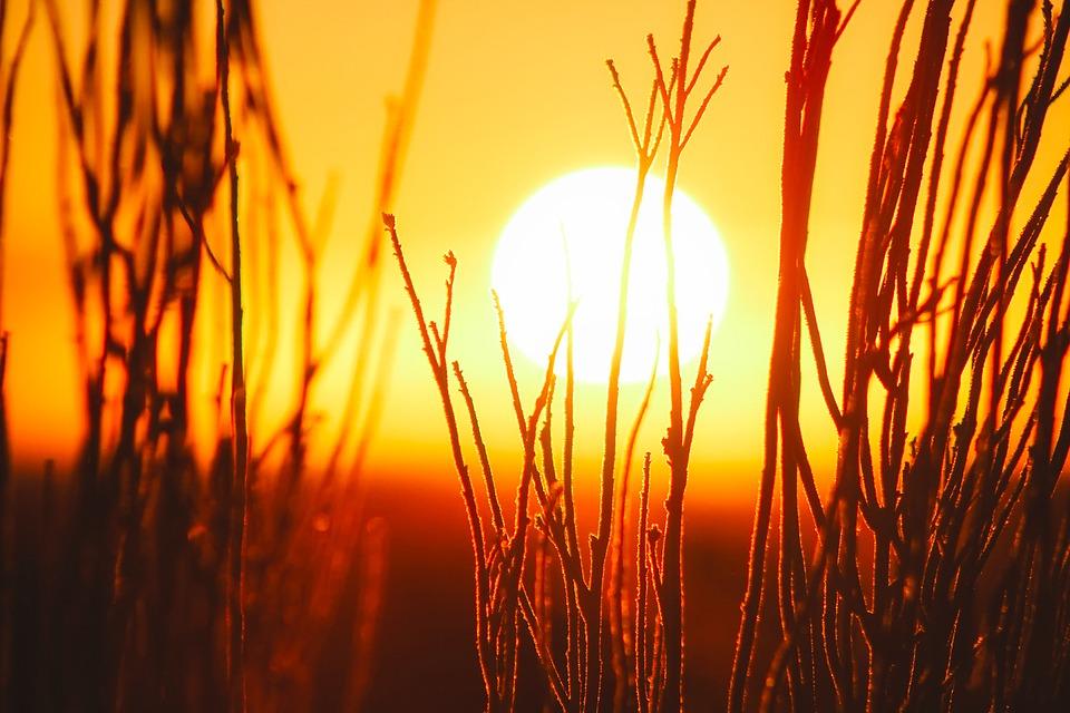 sol