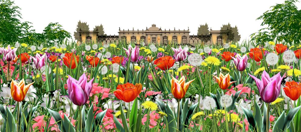VA-Jardín florido