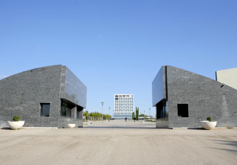 Universidad Rey Juan Carlos