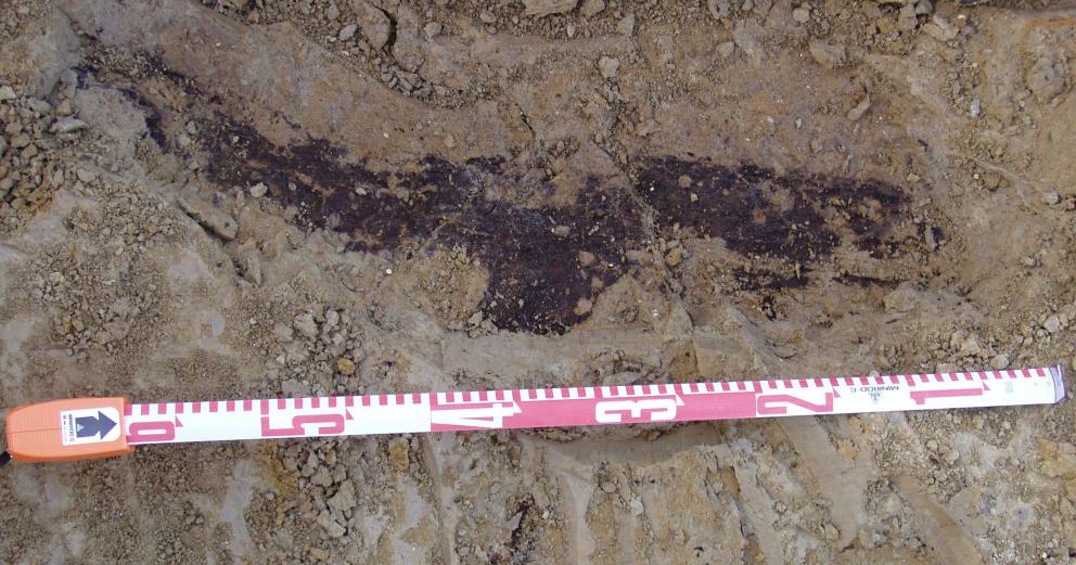 Impronta yacimiento de Valdocarros 