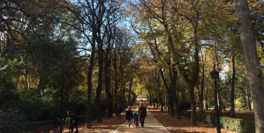 Parque de El Retiro