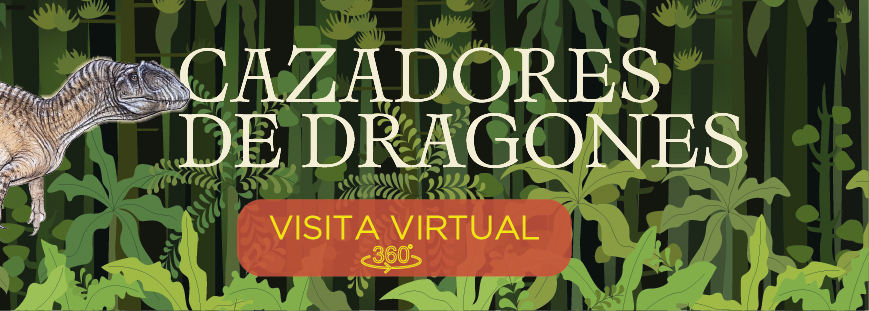 Acceso a la visita virtual a la exposición Cazadores de Dragones