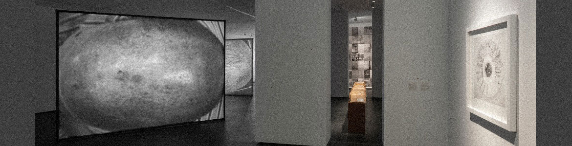 Museos y exposiciones