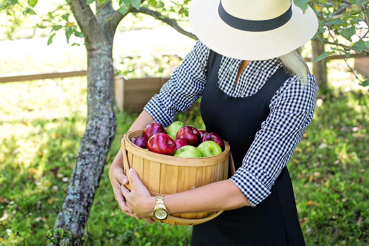 Mujer con un cesto de manzanas