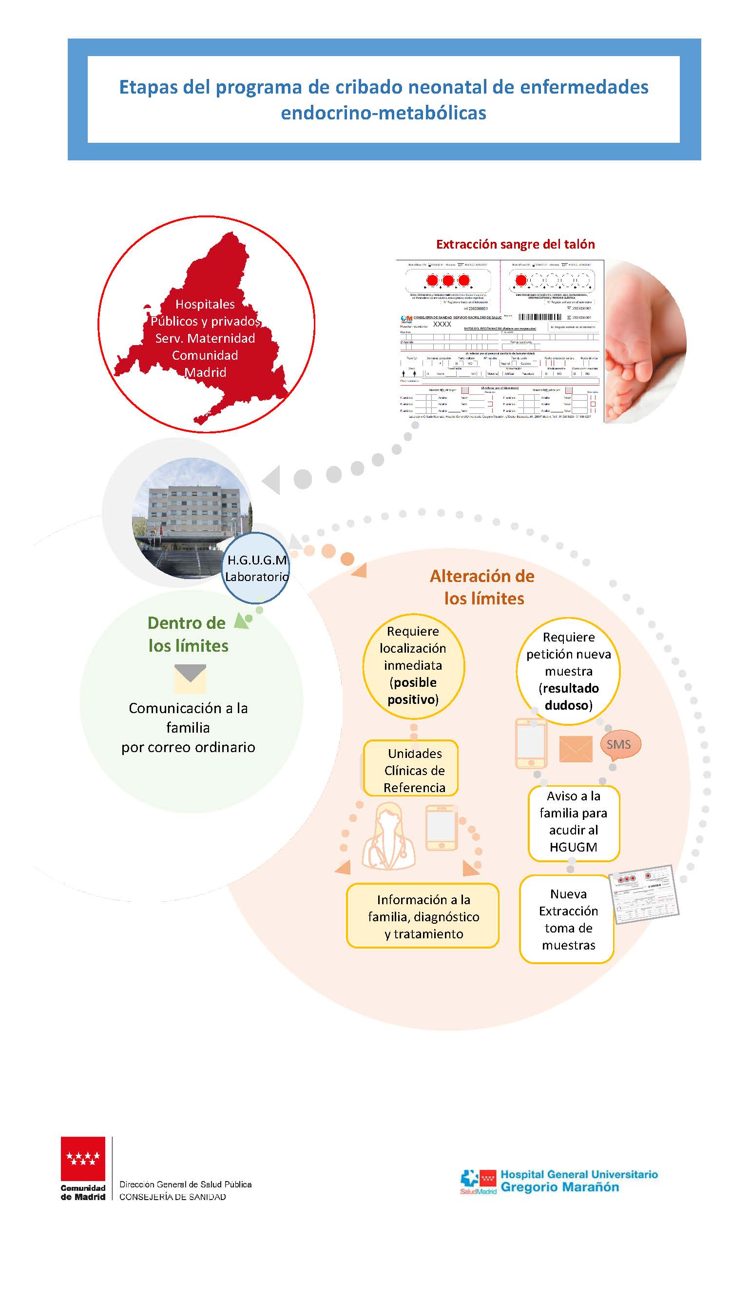 grafico de etapas del cribado neonatal endocrino metabólicas