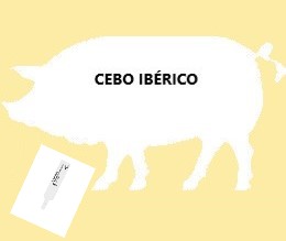 silueta cerdo blanco con precinto silueta de un cerdo con relleno en blanco con leyenda cebo ibérico y precinto blanco