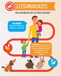 Portada de la publicación Leishmaniasis (folleto)