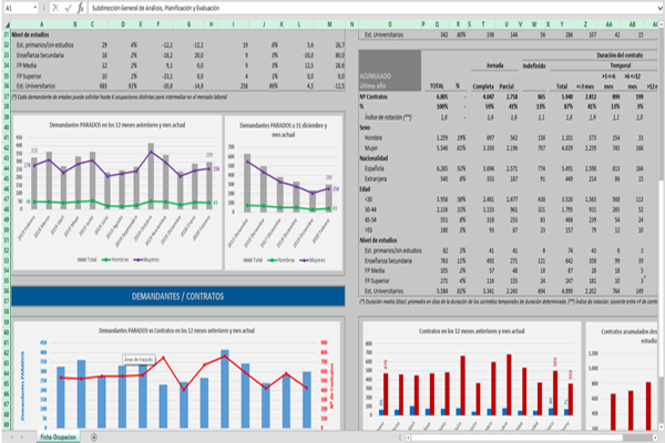 Ficha ocupacional con gráficas excel, ejemplo enfermero