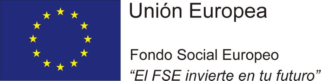 Logo FSE