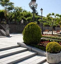 Paseo en Guadarrama