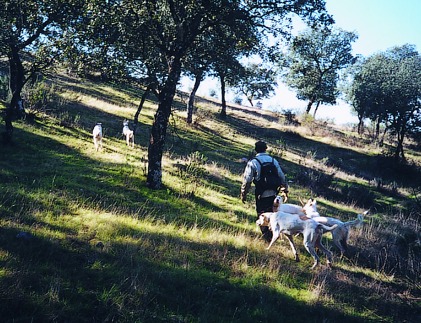 Imagen de una jornada de caza con perros