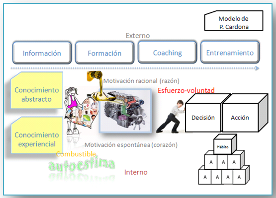 Desarrollo de hábitos