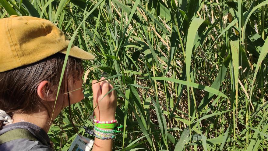 La Comunidad de Madrid forma a 600 alumnos de colegios e institutos sobre la importancia de conservar y proteger la flora autóctona