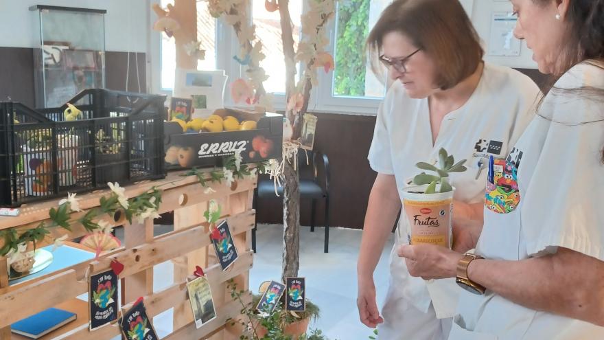 Dia Mundial Medio Ambiente, regala plantas IMIDRA y manzanas