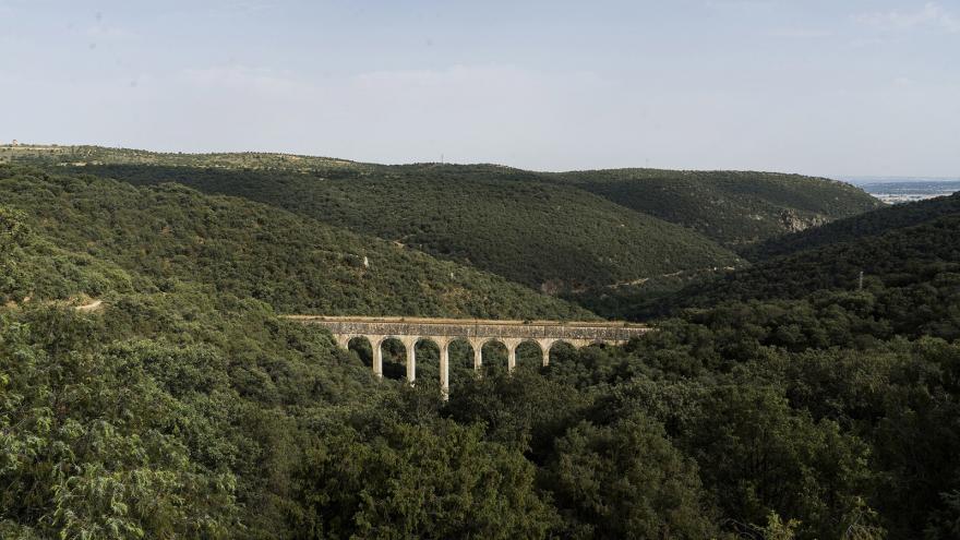 Paisaje, un acueducto rodeado de vegetación