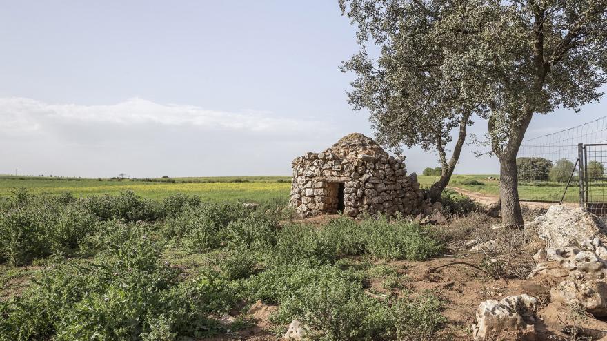 Paisaje rural, se aprecia un chozo junto a un árbol