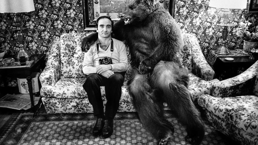 Hombre con una cámara fotográfica sentado al lado de un oso