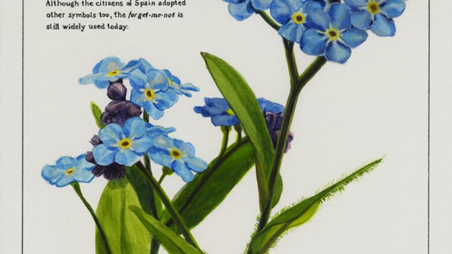 Flores azules 