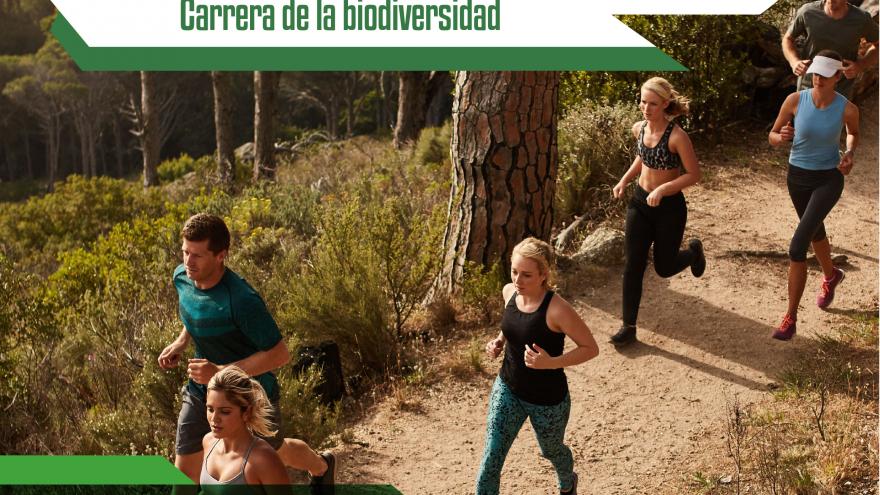 Cartel I Cross Arco Verde Valdelatas