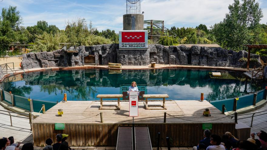  La consejera Concepción Dancausa en el anfiteatro del acuario 