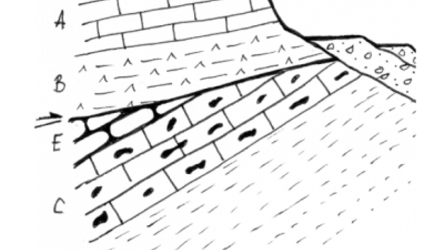 Geología Pinila