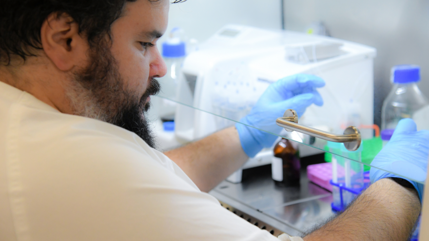 investigador en campana de laboratorio