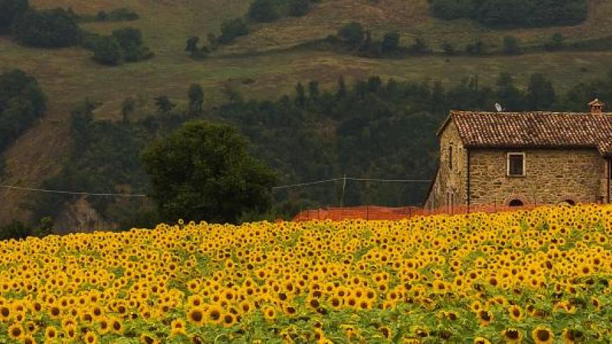 casas rurales consumo