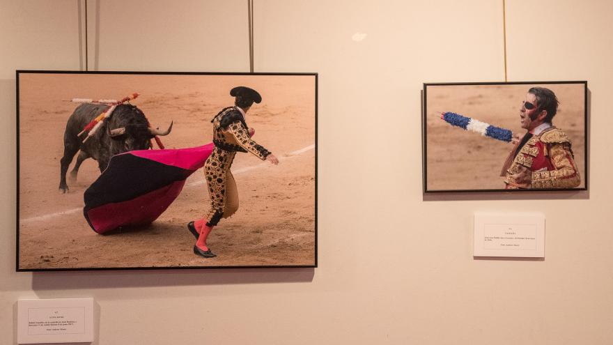 Exposición “La belleza instantánea”