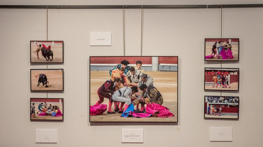 Exposición “La belleza instantánea”