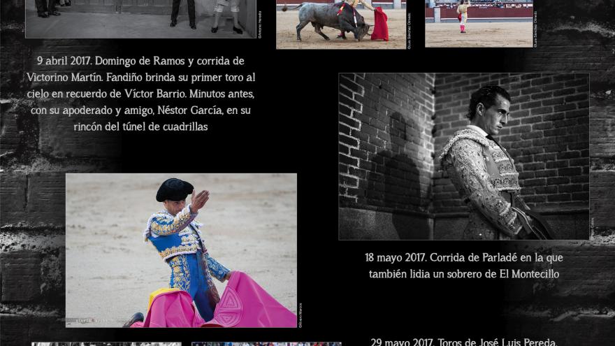 Iván Fandiño en Las Ventas